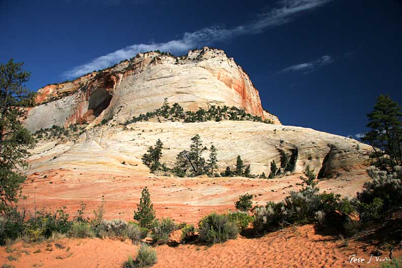 Zion National Park