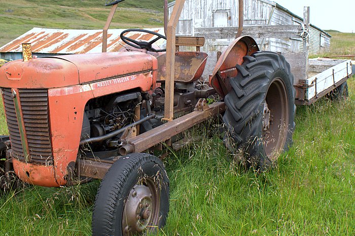 M ferguson  Grf orskafiri