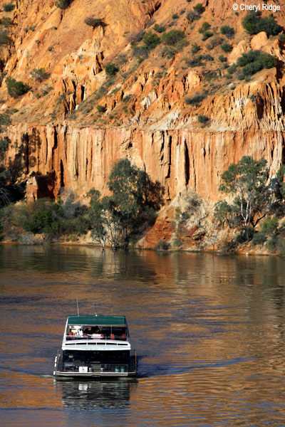 9373- Headings Cliffs, Renmark