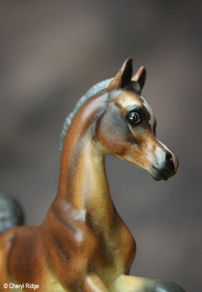 Gaiety resin foal CM by Georgia Haynes Wean USA