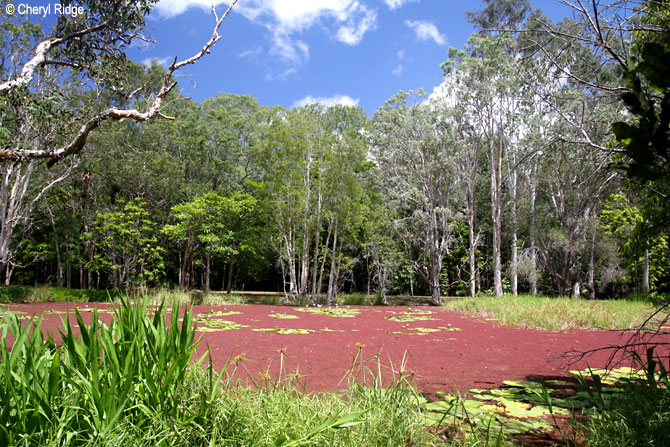 0644-mtmolloy.jpg