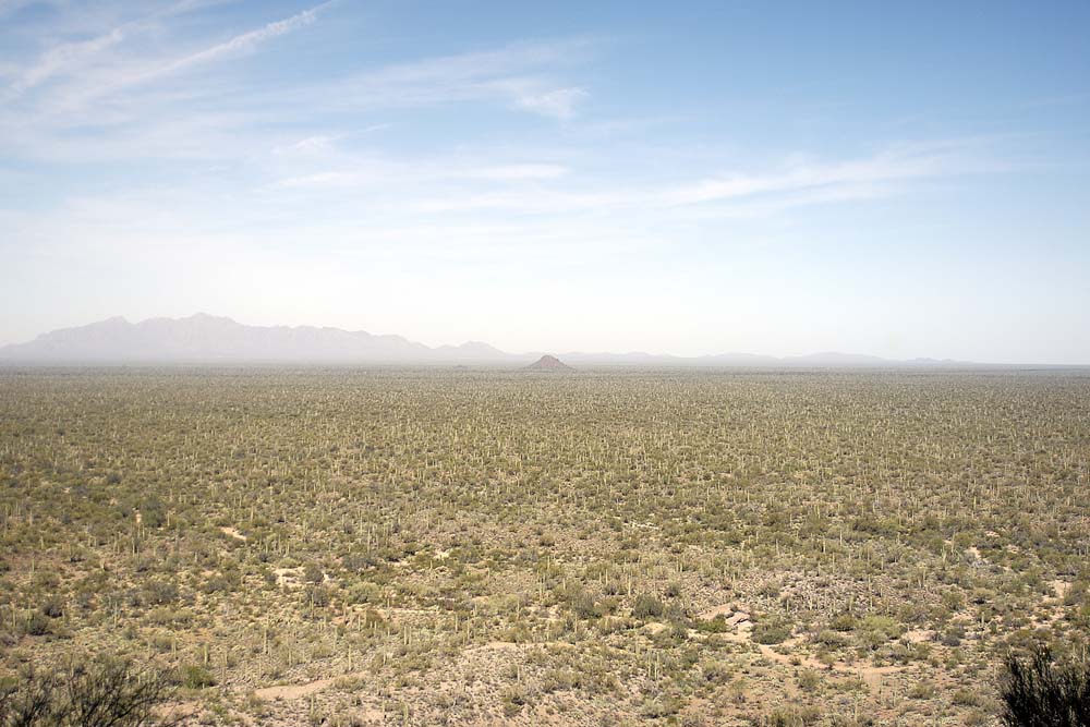Sonoran Desert, Arizona