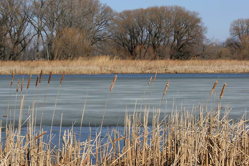 Mohawk River 1