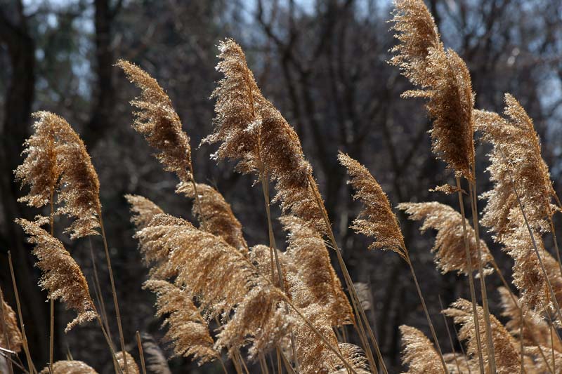 Along the Path
