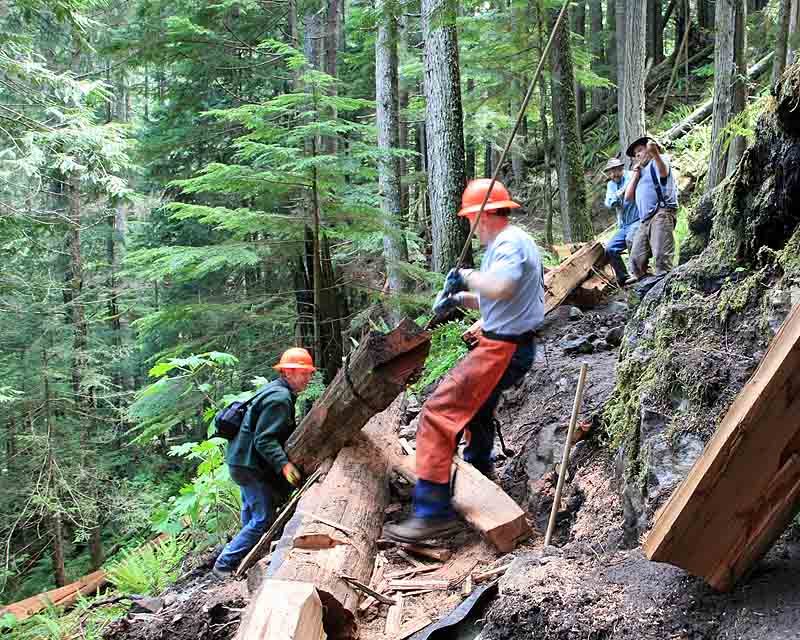 June 3, 2006    Pulling a log from below  (Goat Creek Trail)