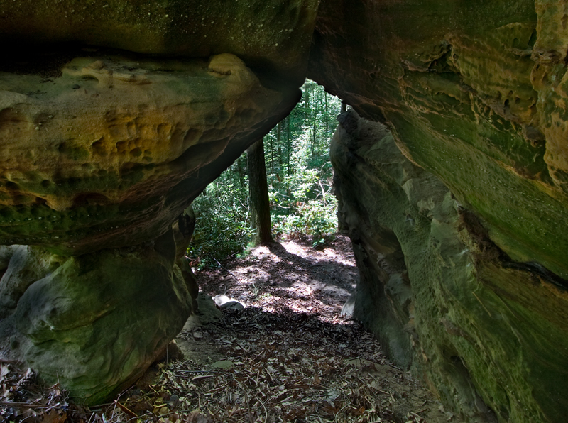 Window Arch