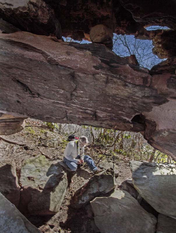 Bony Double Arch