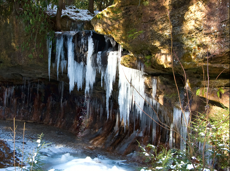 Poochs Turtle Falls in January