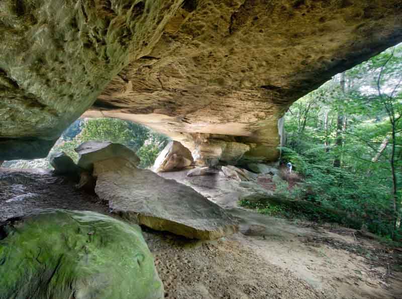 Whites Branch Arch