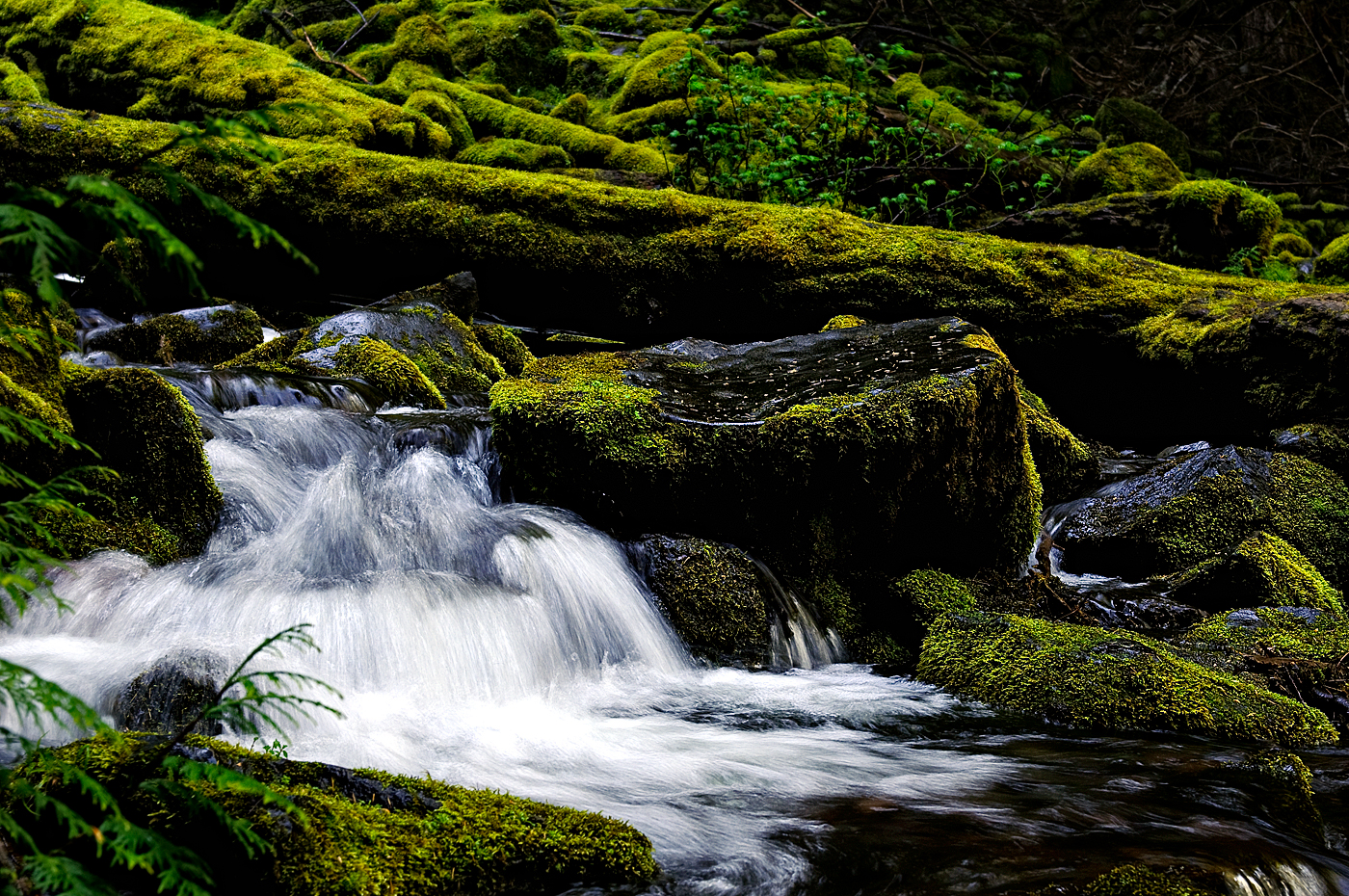 A little piece of the creek at  lower Proxy Falls
