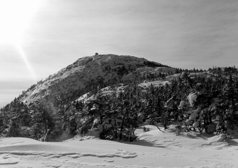 Cardigan summit