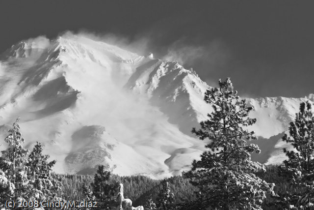 Shasta, Wind-Whipped Clouds, Southwest Side, Foreground Trees