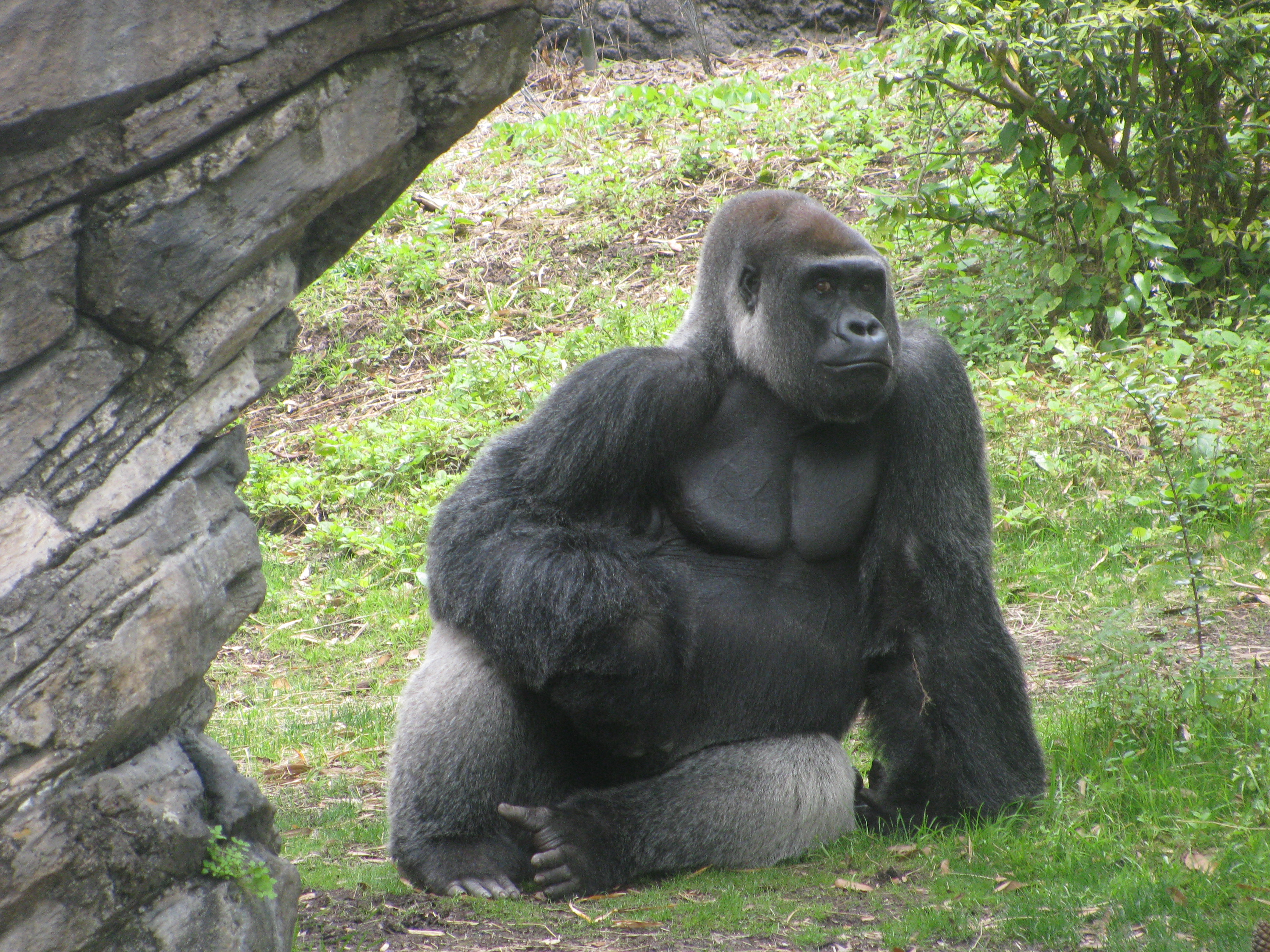 IMG_4807.JPG