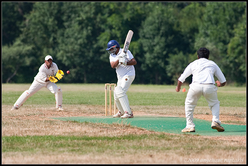 _ADR2045 cricket wf.jpg