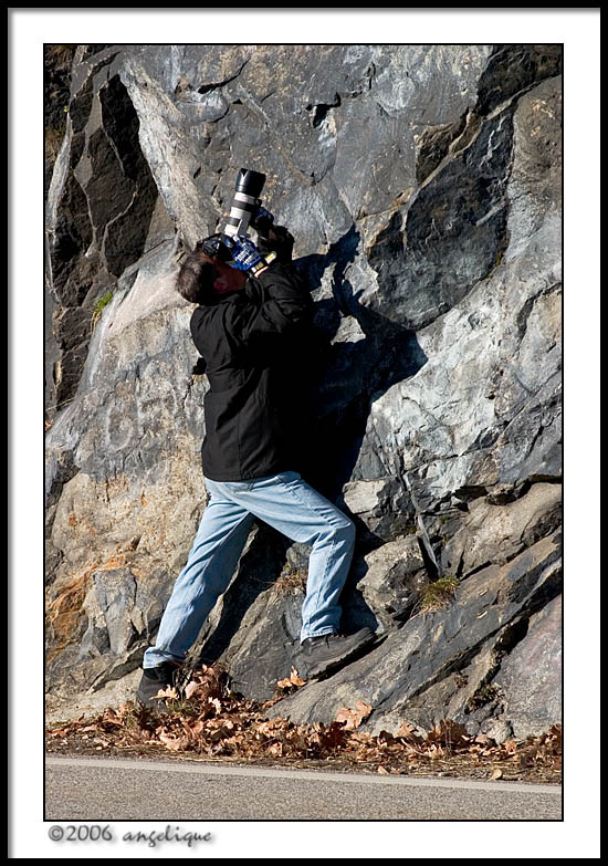 CRW_1597 tom wf.jpg