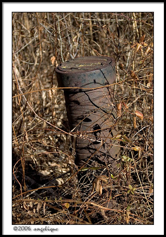 CRW_1643 pipe wf.jpg