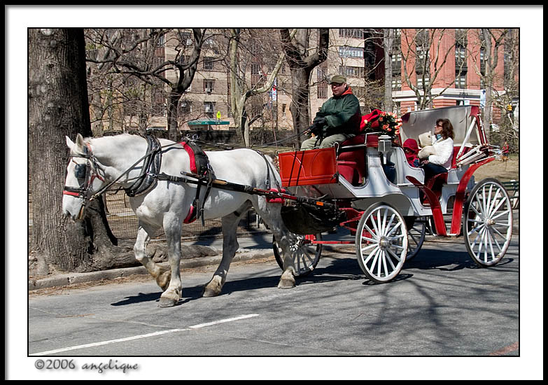 CRW_1946 carriage wf.jpg