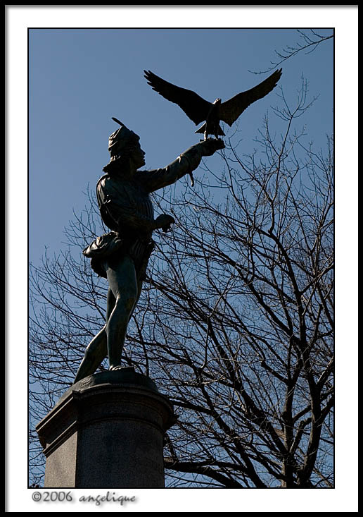 CRW_2023 falconer wf.jpg