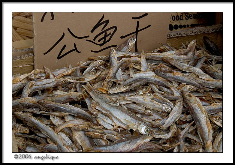 CRW_2244 fish fries wf.jpg