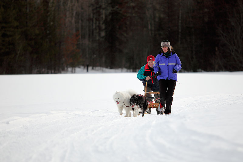 Skijoring and sledding