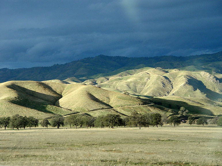 California Grass Lands