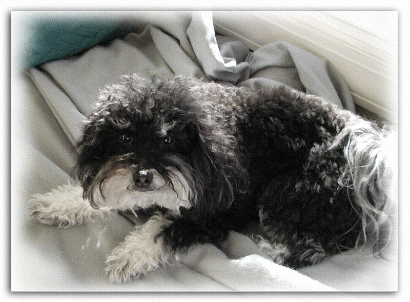 Another Overexposed Blanket