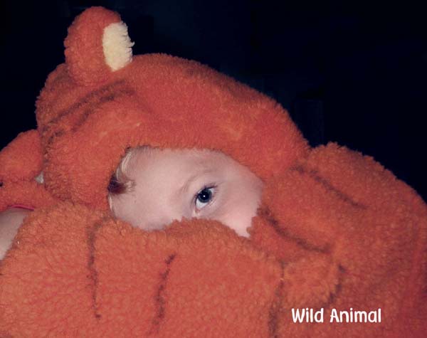 Wild Animal