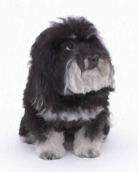 Ricky Portrait