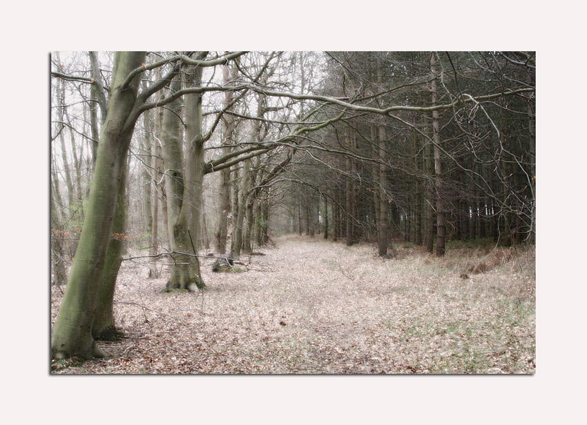walking.