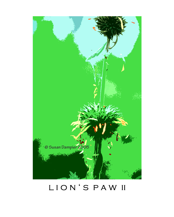 LIONS PAW II