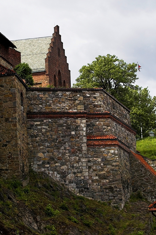 6EDC9398-01.jpg