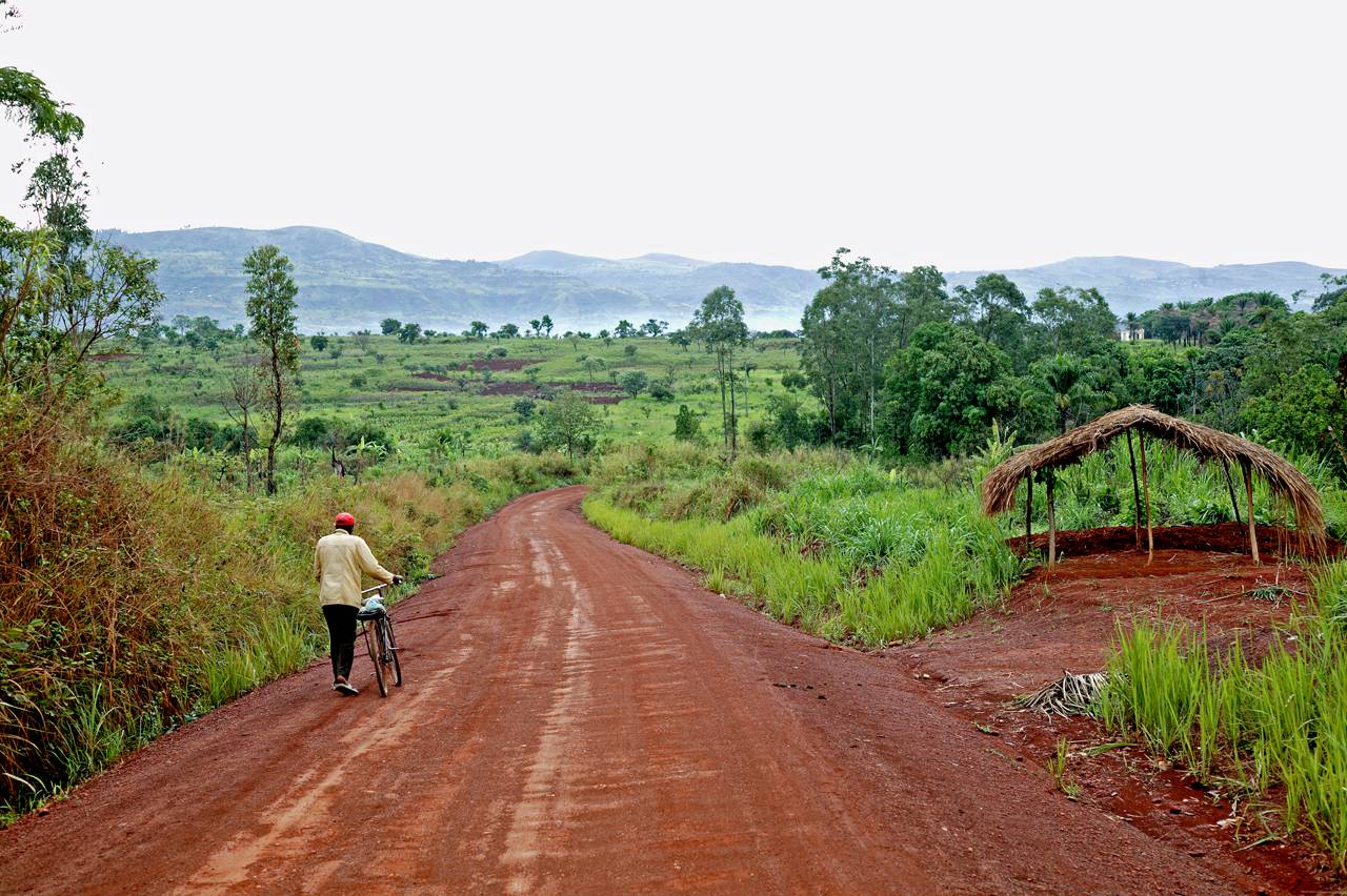 Ring Road, Ndop Plain, heading north towards Kumbo