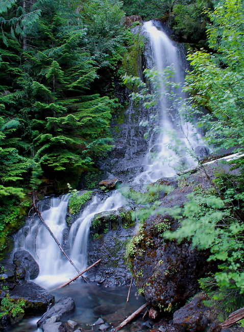 Mount Rainier Stream 2