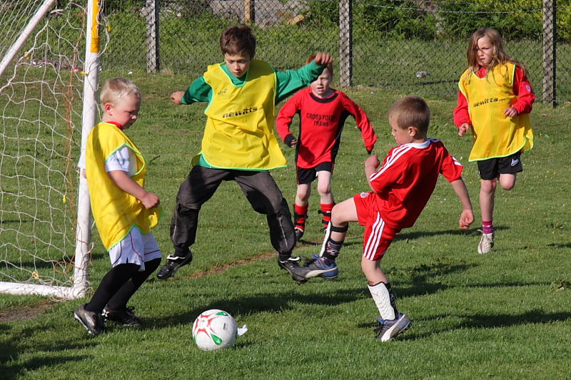 IMG_6208a.JPG