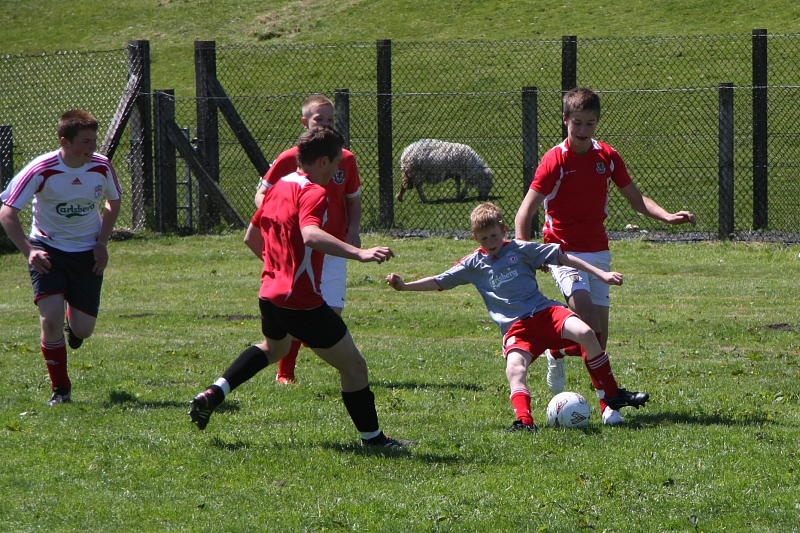 IMG_6696a.JPG