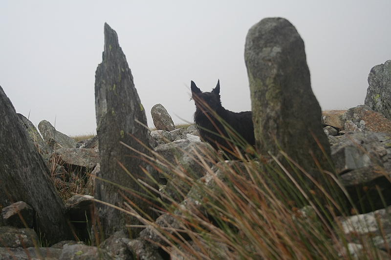 Bryn Cader Faner