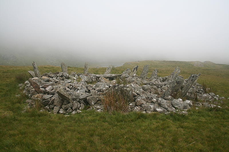 Bryn Cader Faner