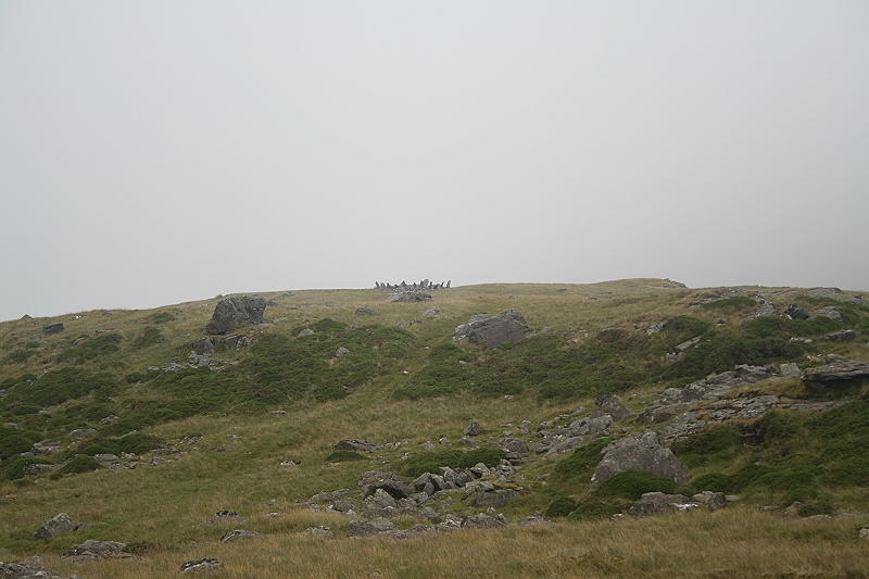 Bryn Cader Faner