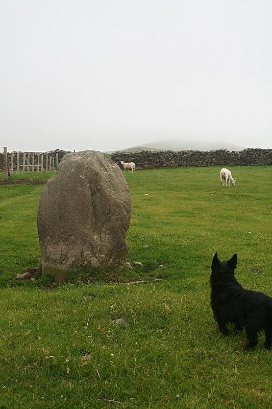 Standing Stone