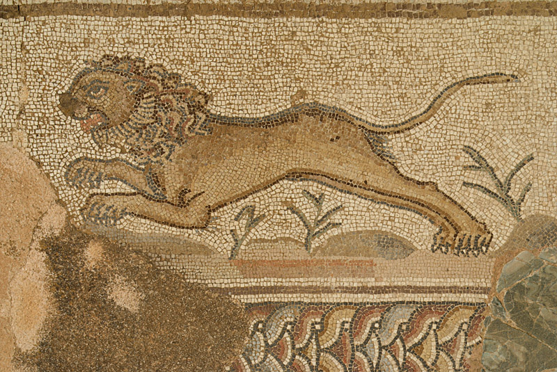 Mosaic of Lion at Paphos Archaeological Site