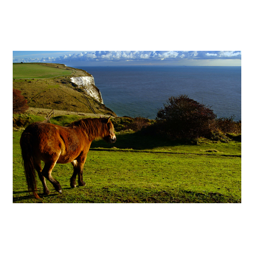 April - Cliff Pony