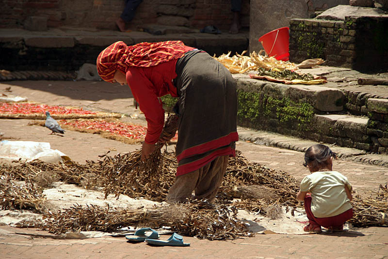 Drying Peas Bhaktapur 02