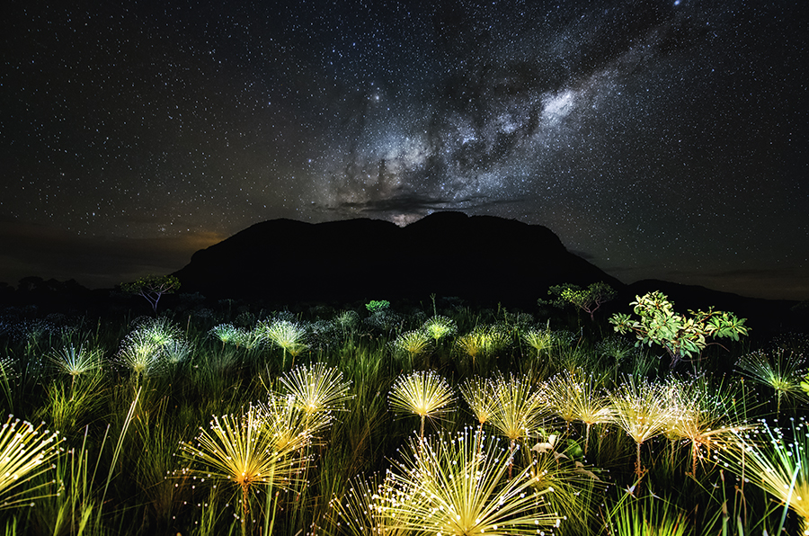 Galactic Cerrado