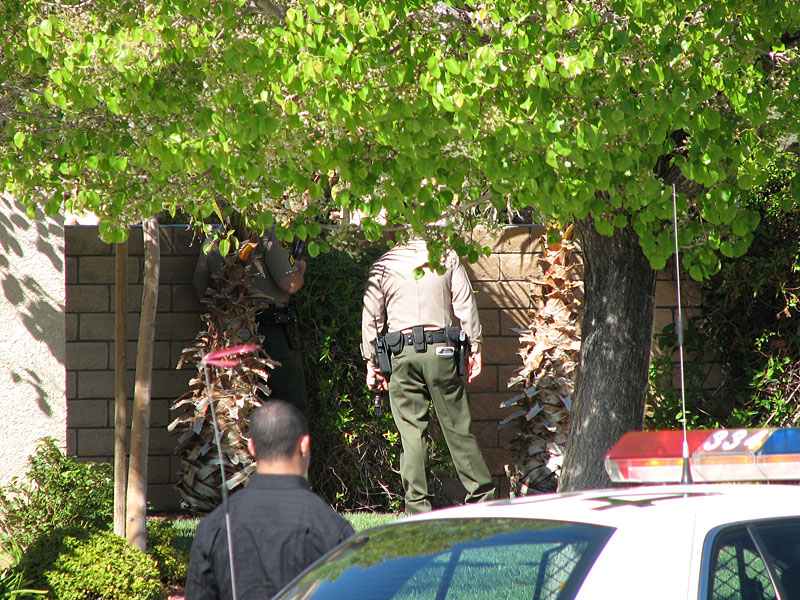 LASD_032809_03.jpg
