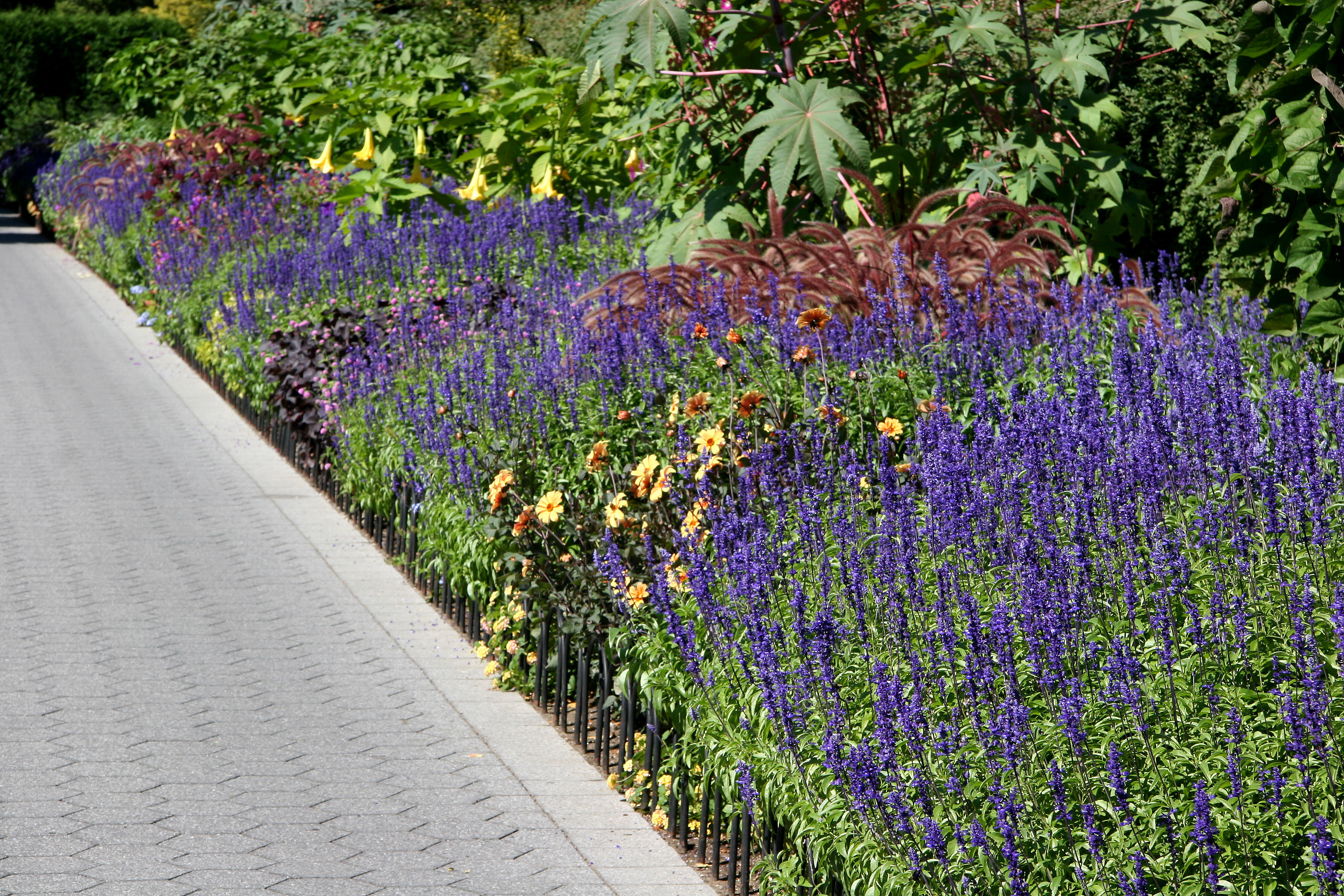 Conservatory Gardens