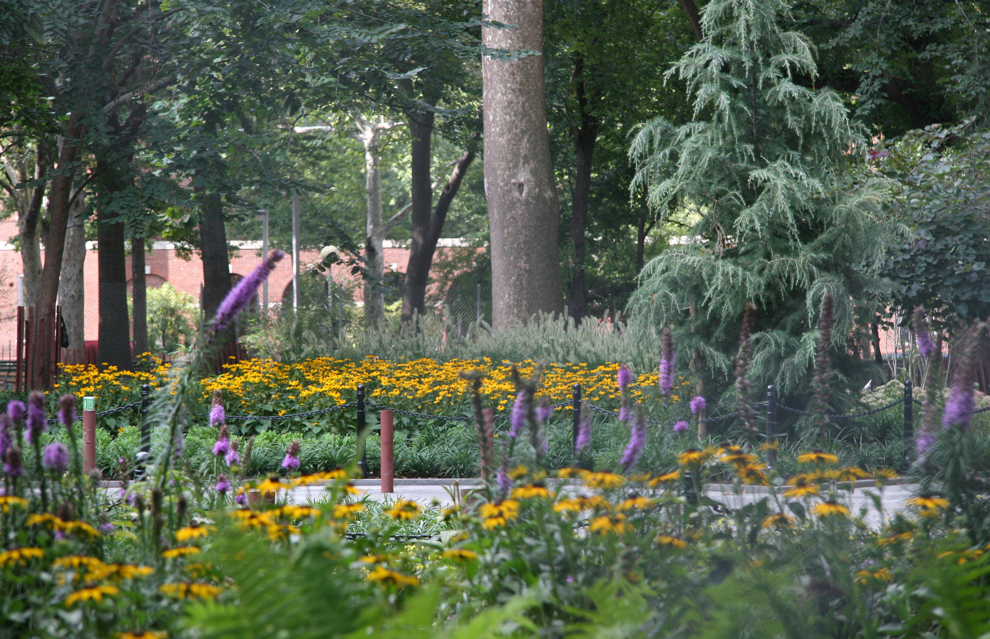 New Plantings