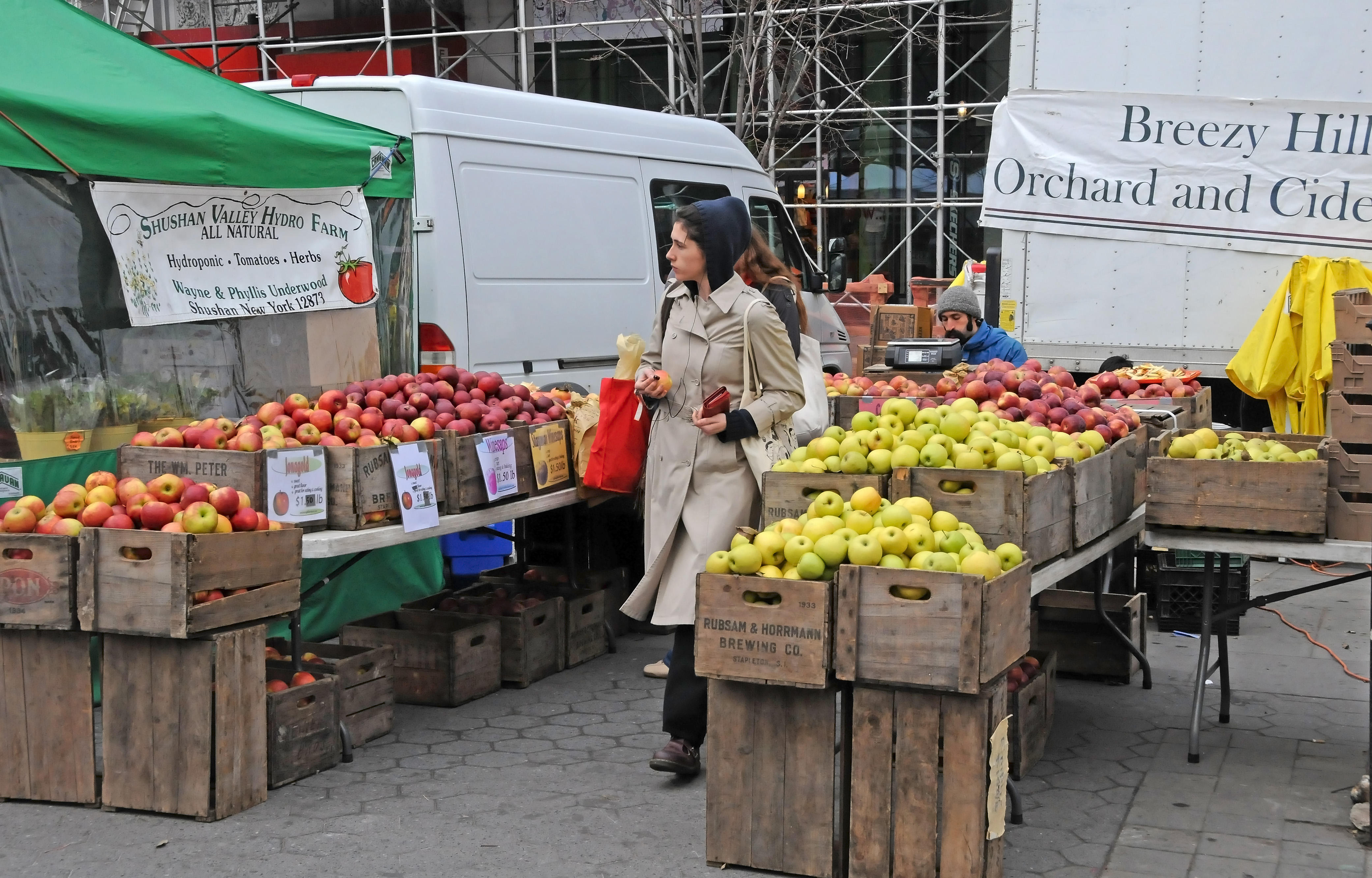 Apples at the Green Market