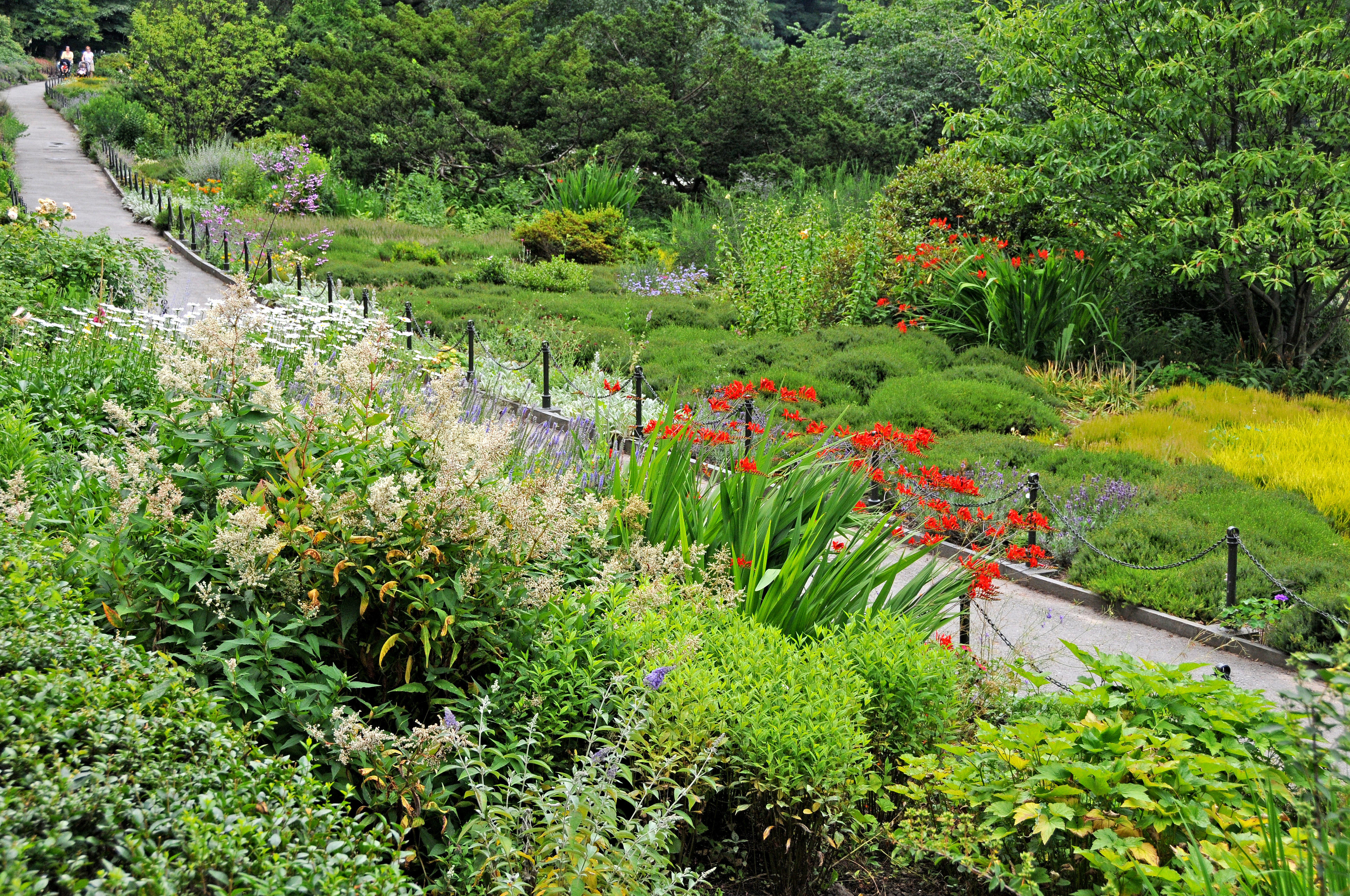 Summer Garden