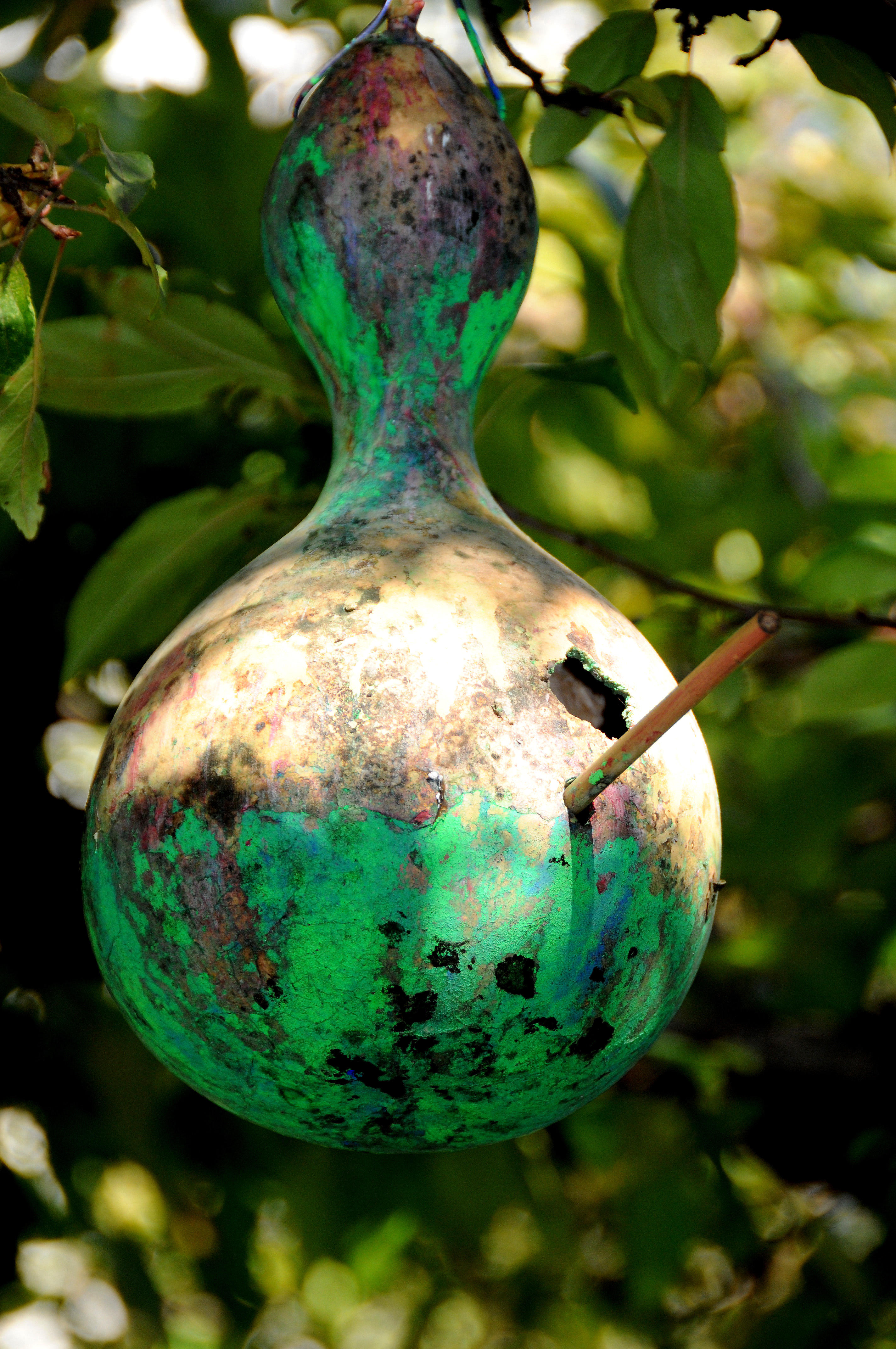 Bird House