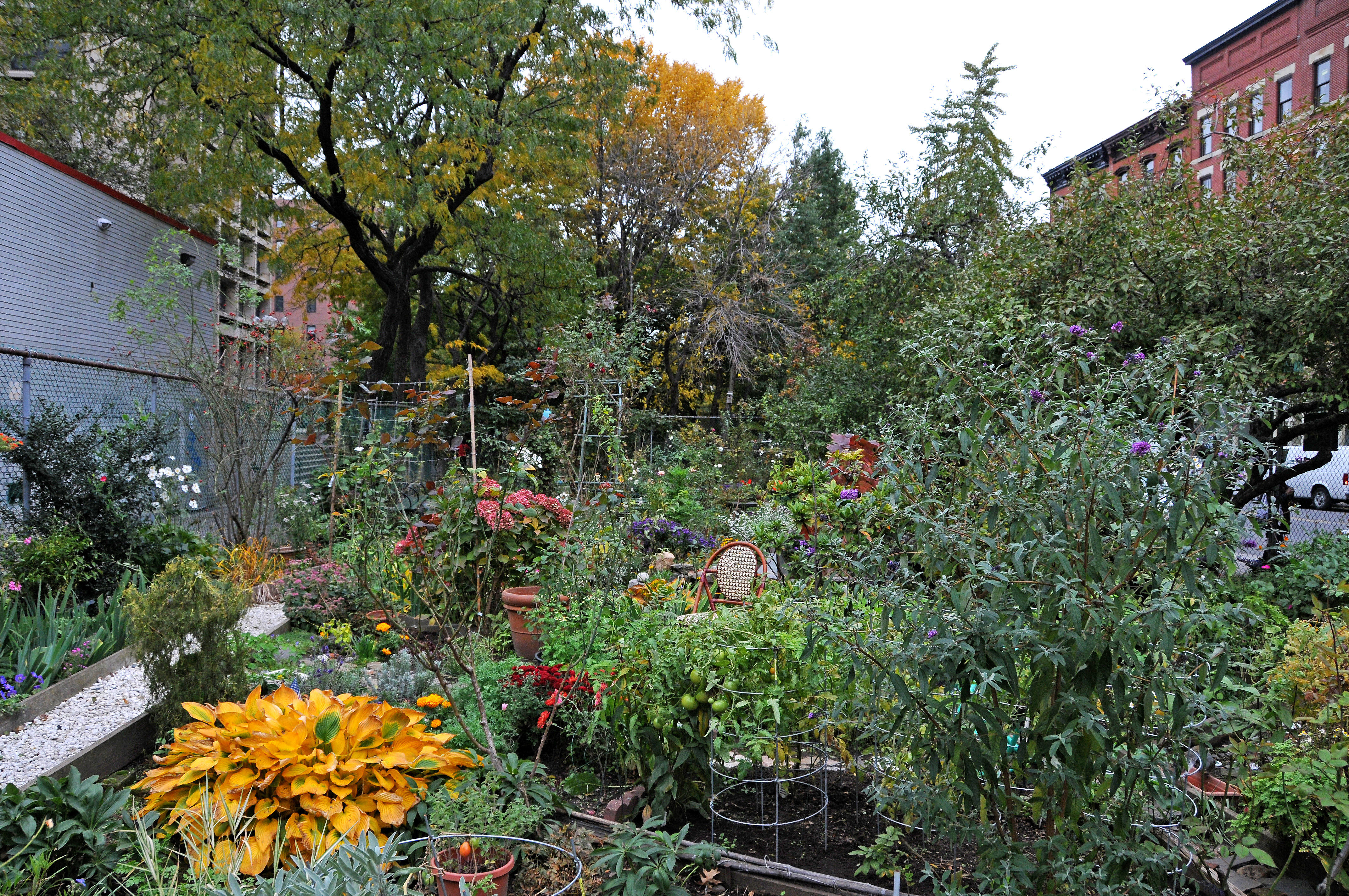 Garden View